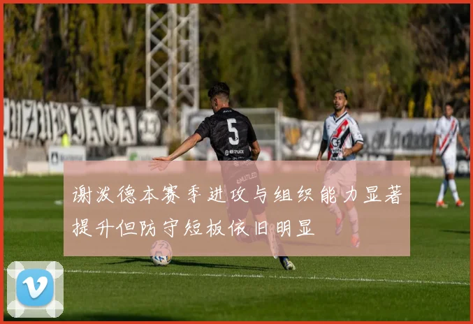 谢泼德本赛季进攻与组织能力显著提升但防守短板依旧明显